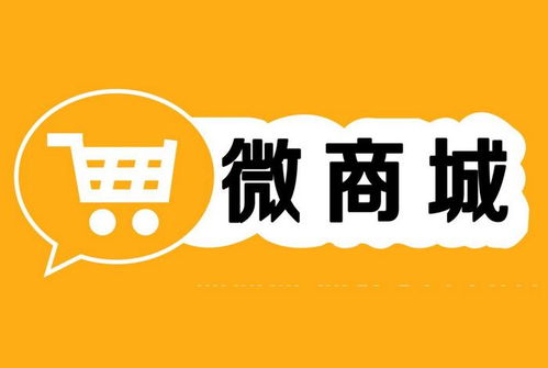 干货必看丨电商小白如何快速找到合适的商城系统